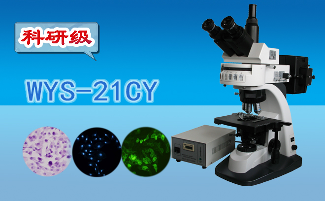 熒光顯微鏡技術(shù)包括哪幾種？